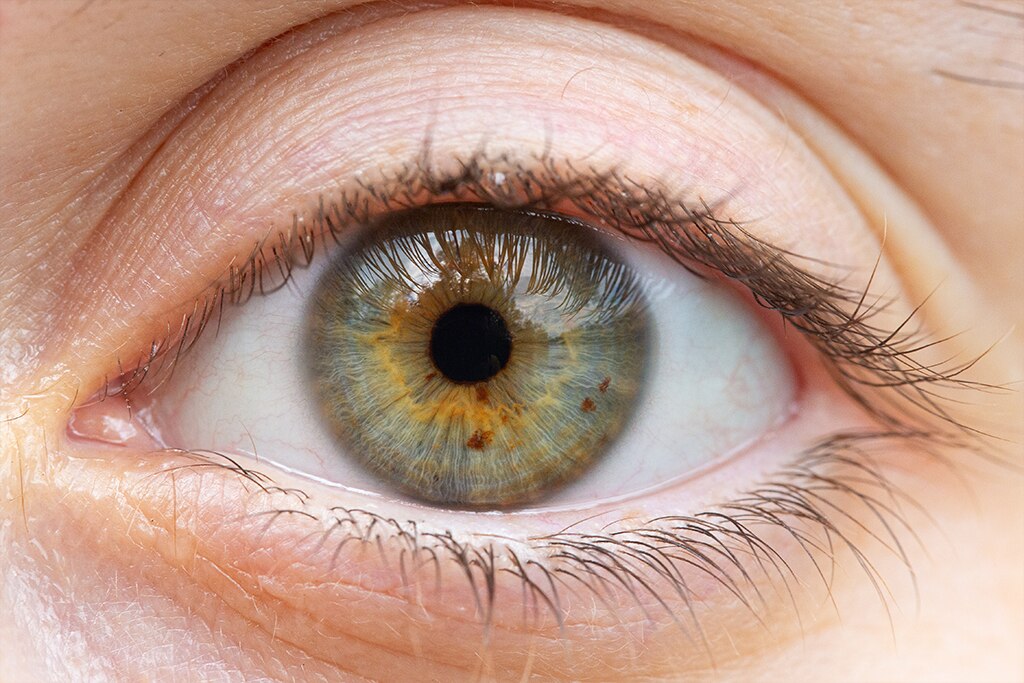 Haselnussbraune Augen